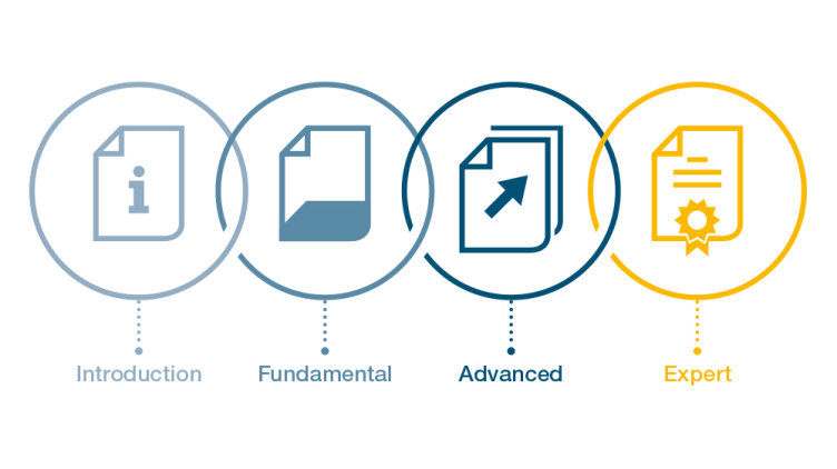 International Qualification Programme IQP
