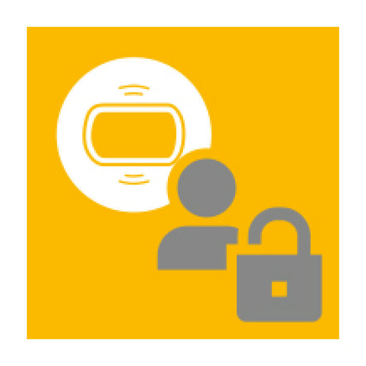 Icon PIT Windows Logon