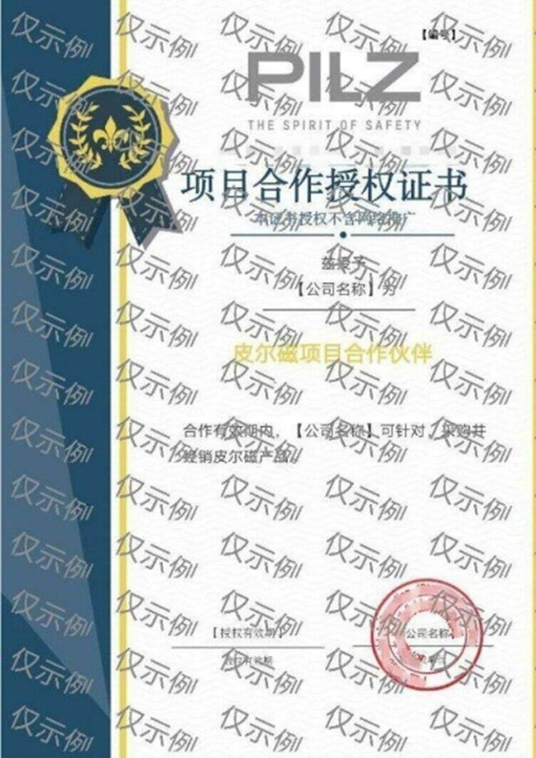 项目型合作伙伴授权证书示例
