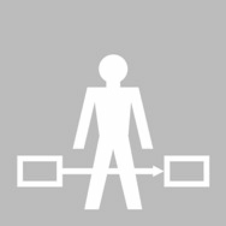 图示，用于访问保护的光栅